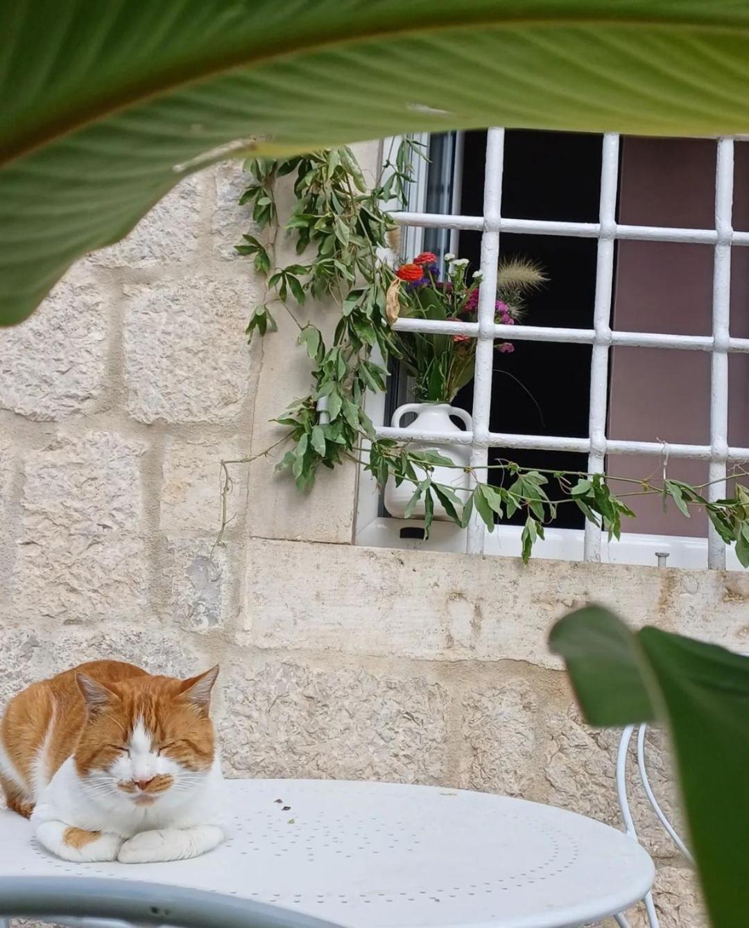 Apartments Visit ペラスト エクステリア 写真